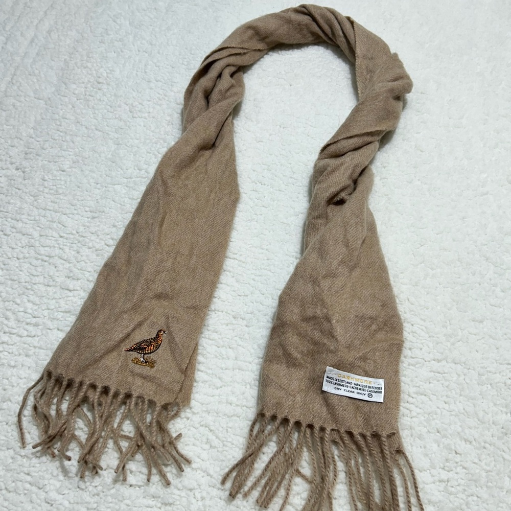 Elegant Tan Scarf with Embroidered Detail